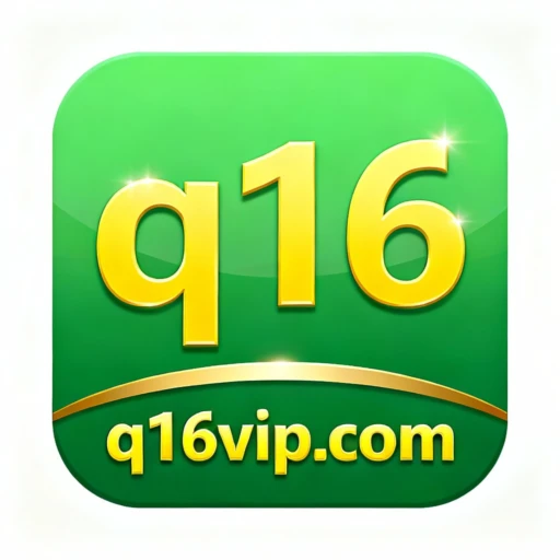q16 logo